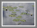 Fotogalerie