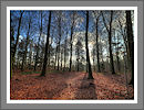 Fotogalerie