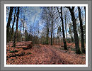 Fotogalerie