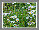 CWHP - Fotogalerie