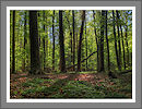 CWHP - Fotogalerie