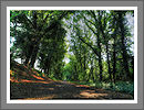 CWHP - Fotogalerie