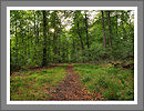CWHP - Fotogalerie