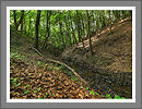 CWHP - Fotogalerie