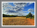 CWHP - Fotogalerie