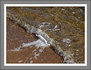 CWHP - Fotogalerie