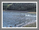 CWHP - Fotogalerie
