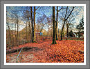 Fotogalerie