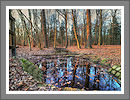 Fotogalerie