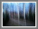 Fotogalerie