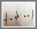 Fotogalerie