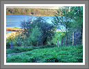 Fotogalerie